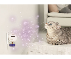 Felliway optimum diffuseur olfactif pour chat