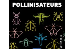 un livre des abeilles Connais tes pollinisateurs