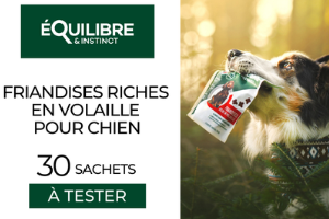 sachet de friandises pour chien Équilibre & Instinct