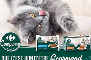 pack Carrefour Companino Suprem pour chat