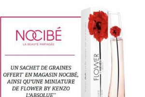 sachet de graines de fleurs à recevoir sur simple visite