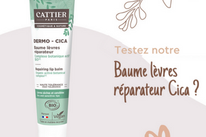 baume à lèvres réparateur de Cattier