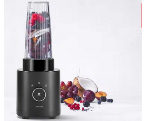 mini blender Zwilling