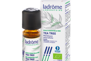 huile essentielle de tea tree bio Ladrôme