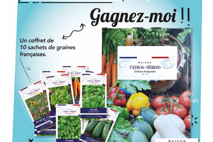 un pack de graines françaises à remporter