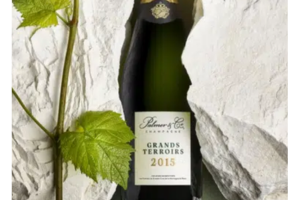 une bouteille Palmer & Co Grands Terroirs 2015