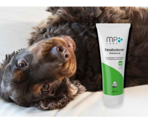 shampooing pour chien Keratoderm à tester