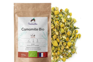 infusion aux fleurs de camomille bio à tester