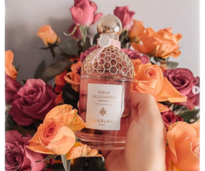 parfum Aqua Alegoria Harvest Guerlain à gagner