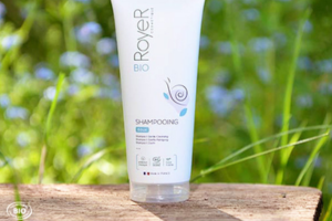 un shampooing à la bave d'escargot de RoyeR