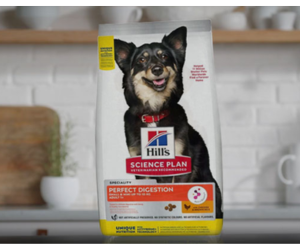 paquet de croquettes pour chien de Hill's