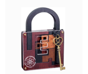 casse-tête d'Einstein à tester