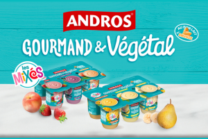 brassé aux fruits mixés Andros Gourmand & Végétal