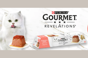 mousselines au saumon Gourmet Revelations