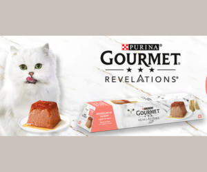 mousselines au saumon Gourmet Revelations