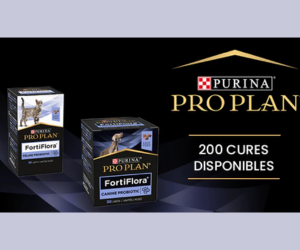 pack bouchées FortiFlora Purina Pro Plan