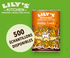 nourriture pour chiens Sunday Lunch Lily's Kitchen
