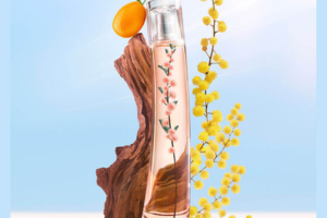 le parfum Flower Ikebana Mimosa