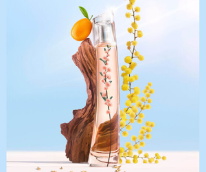 le parfum Flower Ikebana Mimosa