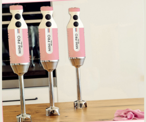 un mixeur plongeant Minipro