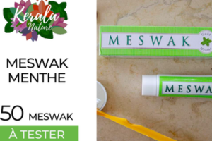 un dentifrice Meswak Menthe