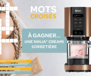 un robot Ninja Creami