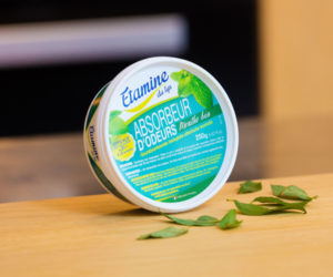 absorbeur d’odeurs Étamine du Lys