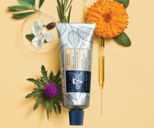 crème du jour Phyto 7