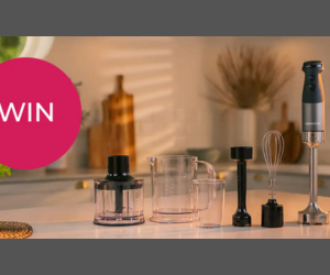 Kenwood mixeur plongeant