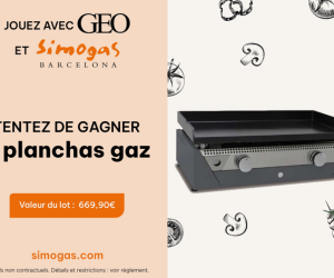 Geo plancha à gaz Simogas