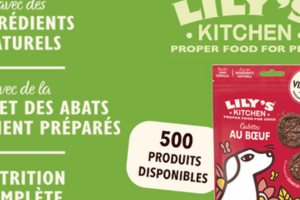 galettes au bœuf de Lily’s Kitchen