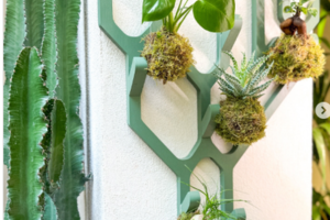 Canopée porte-manteaux mural Hartô végétalisé