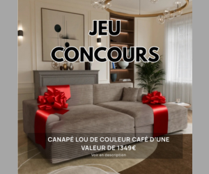 canapé LOU couleur café