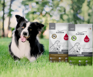 gamme d’aliments secs pour chiens Platinum