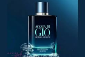 parfum Aqua Di Gio de Giorgio Armani