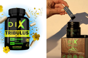 complément alimentaire Shilajit ou Tribulus de DIX