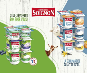 yaourts Soignon