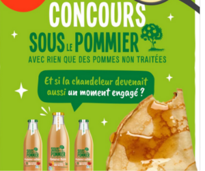 bouteilles de pur jus de pommes